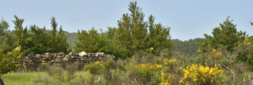 Espoz &ndash; Espotz