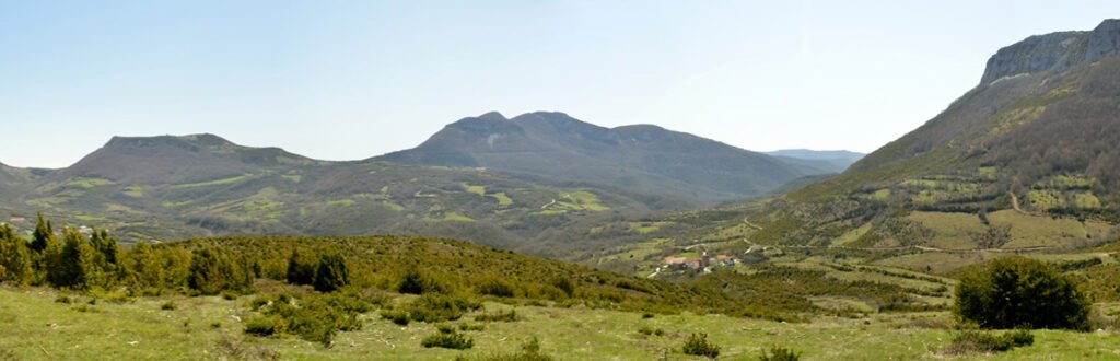 Sarag&uuml;eta &ndash; Saragueta