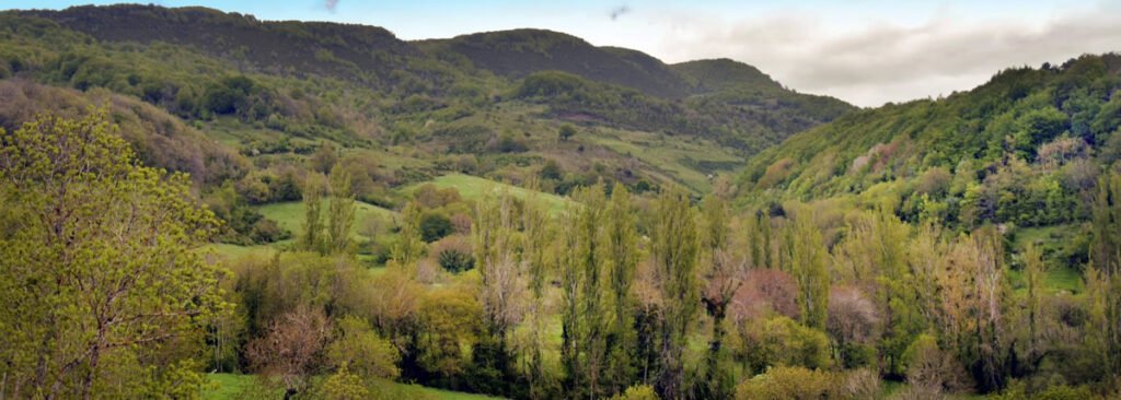 Villanueva de Arce- Hiriberri Artzibar