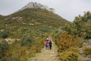 Reunión: ¡Participa en el futuro de la Calzada Romana del Pirineo!