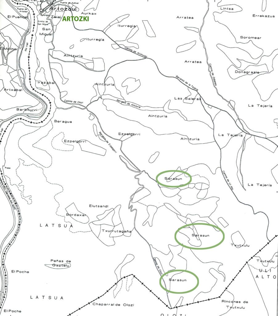 Sarasu (Villanueva-Sarasu &ndash; Sarasun)